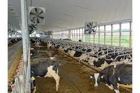 Ventilation & Brumisation